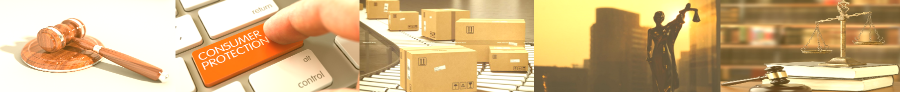 Inner Banner of Consumer Affairs